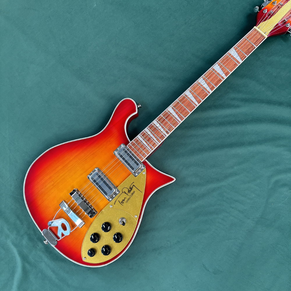 Electric Guitar Beginner - 12-string electric guitar, semi-hollow body guitar