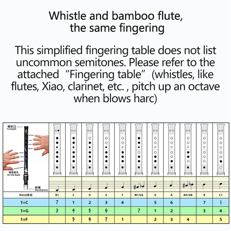 Tin Whistle Flute - RTENTE-6 Holes Irish Tin Penny Whistle
