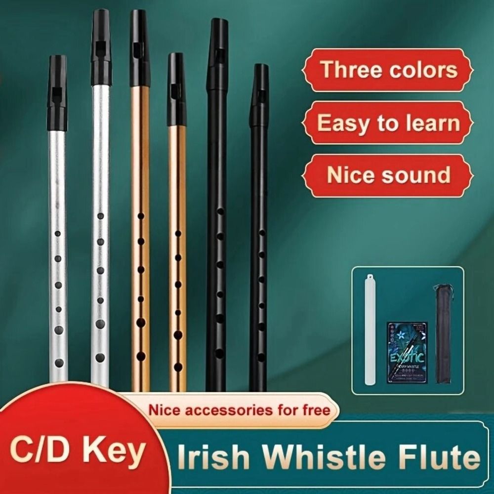 C/D Key Irish Whistle Flute Ri - Tin Whistle Flute recensione e prezzo