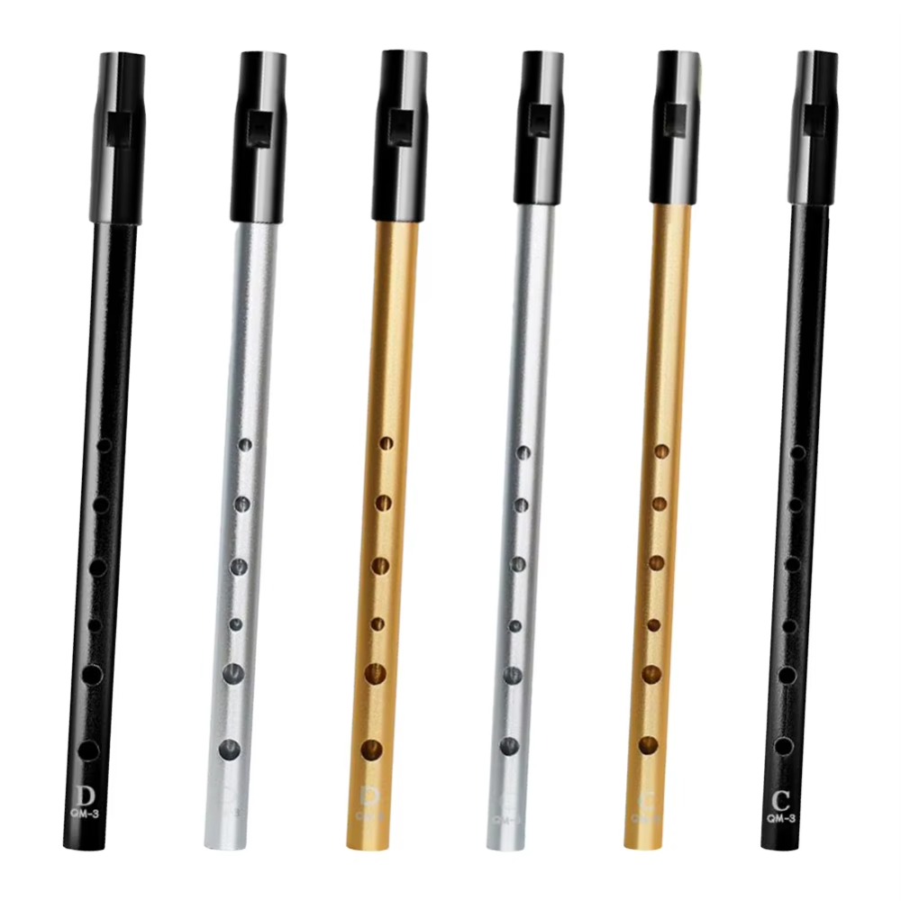C/D Key Irish Whistle Flute Ri - Tin Whistle Flute recensione e prezzo