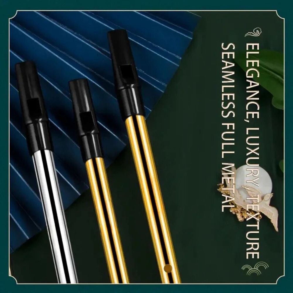 C/D Key Irish Whistle Flute Ri - Tin Whistle Flute recensione e prezzo