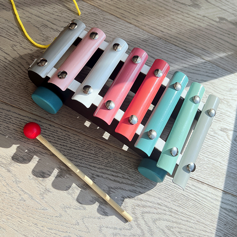 Montessori Educational Toy Set - Musical Instrument Harmonium recensione e prezzo