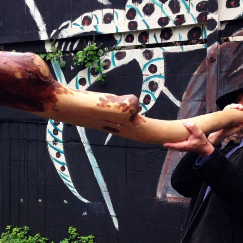 Australian imported musical in - Musical Instrument Didgeridoo recensione e prezzo