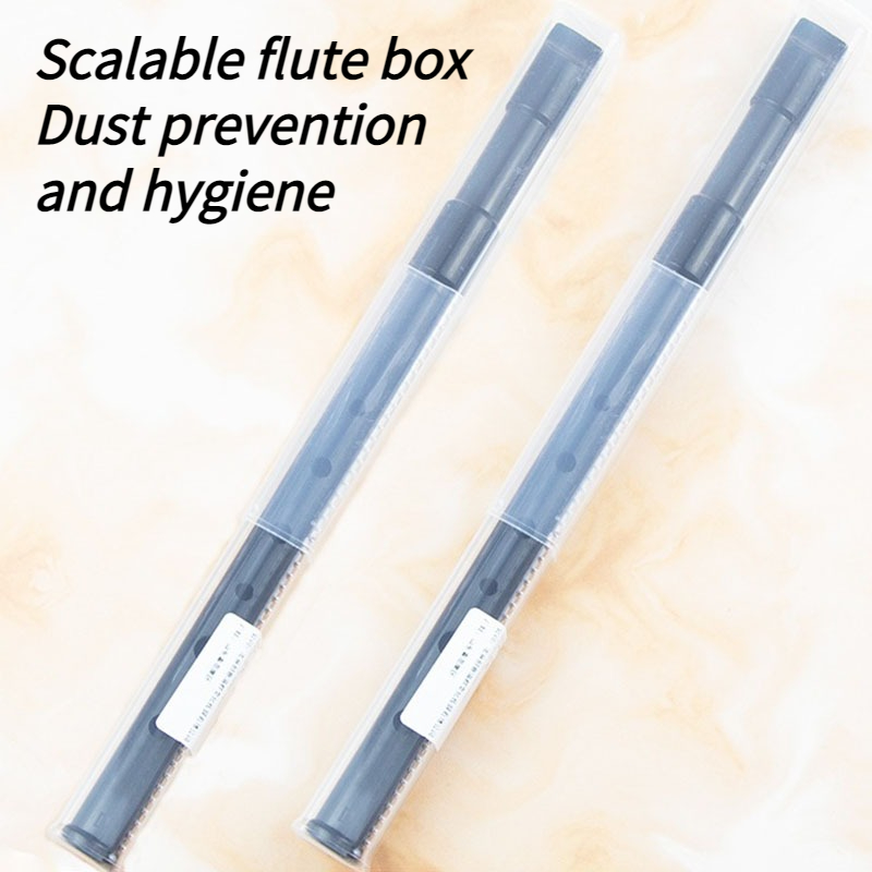 6 Hole Resin Tin Whistle D Key - Tin Whistle Flute recensione e prezzo