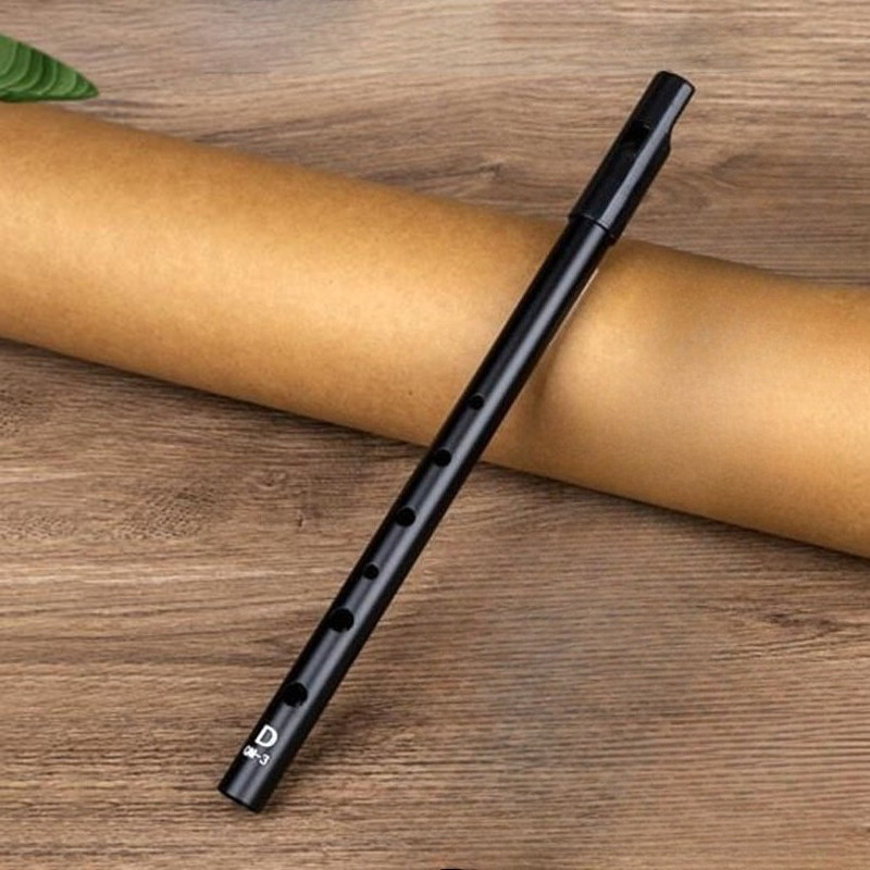 D Key Tin Whistle Beginner Chi - Tin Whistle Flute recensione e prezzo
