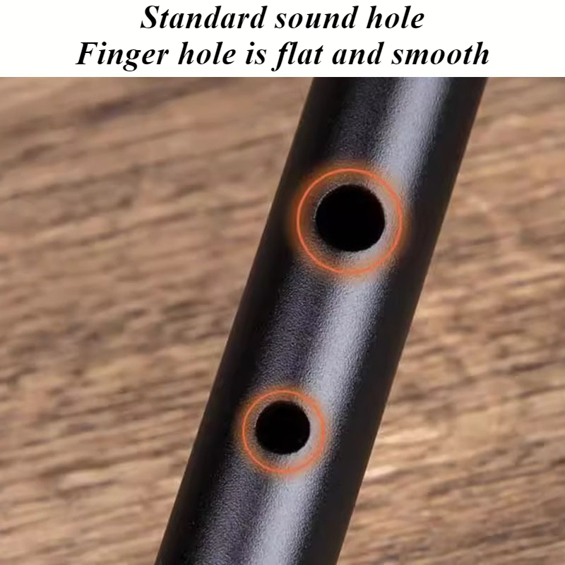 D Key Tin Whistle Beginner Chi - Tin Whistle Flute recensione e prezzo