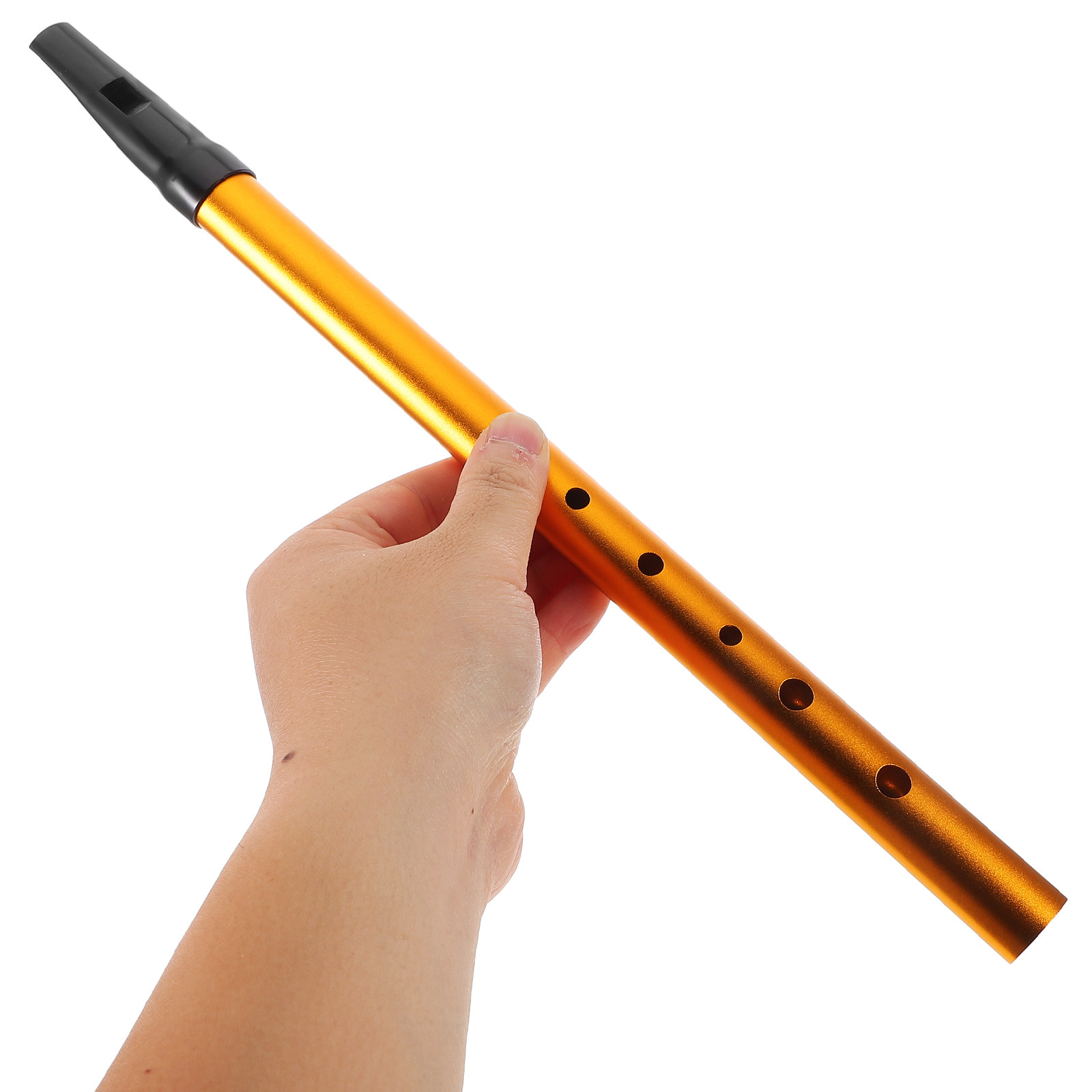 6-Hole Irish Tin Whistle Begin - Tin Whistle Flute recensione e prezzo