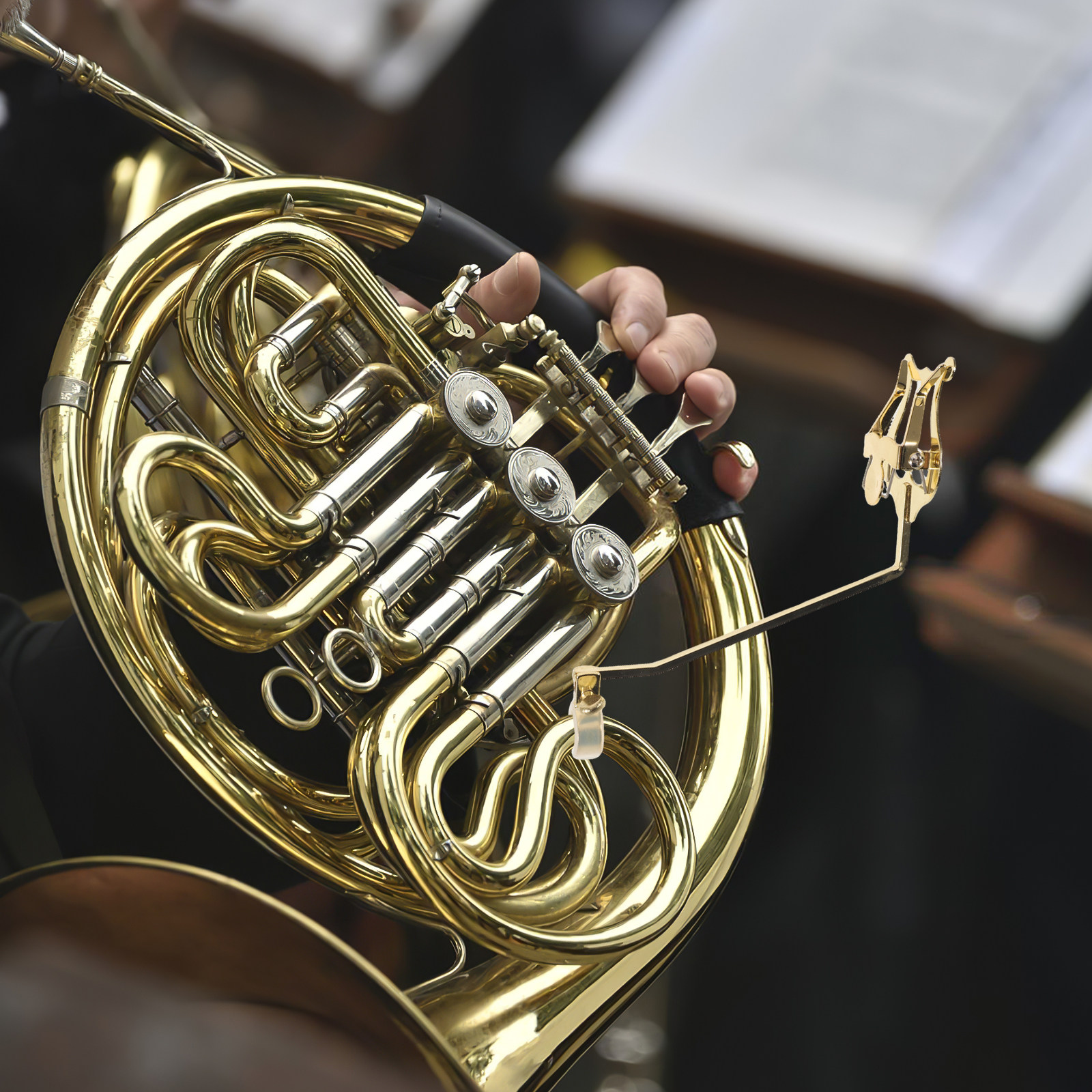 French Horn Marching Lyre Clam - Musical Instrument French recensione e prezzo