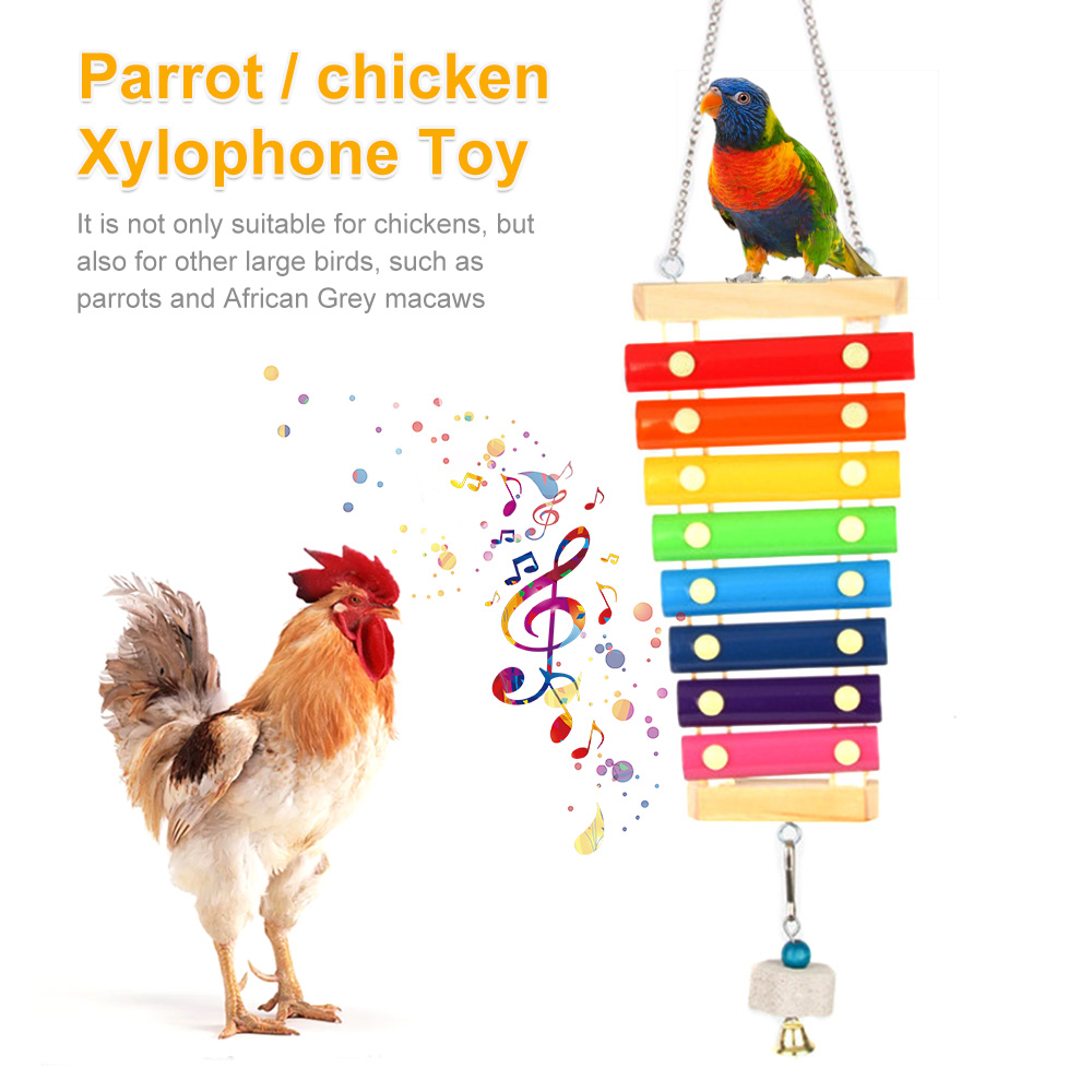 Bird Chicken Xylophone Toy Woo - Musical Instrument Harmonium recensione e prezzo
