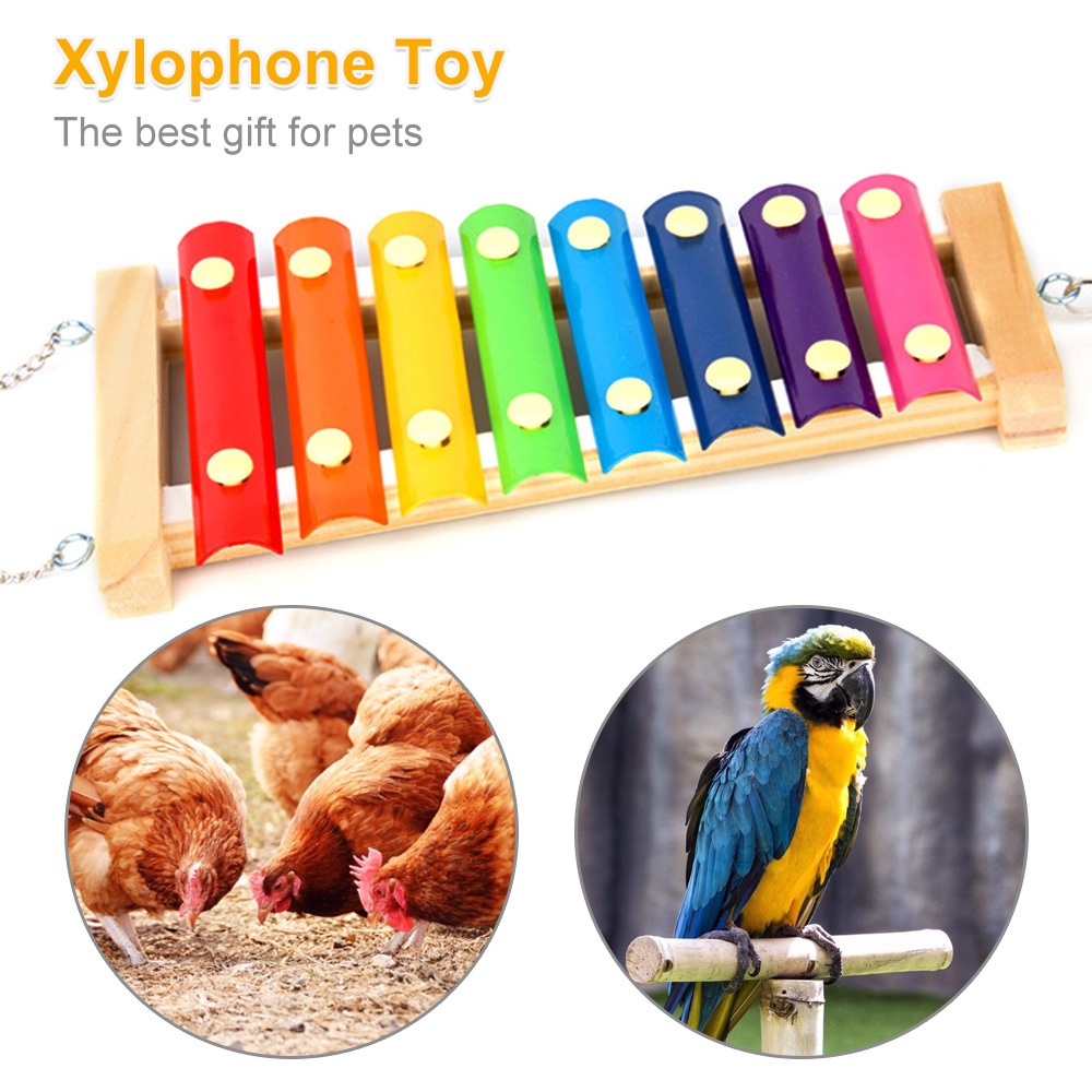Bird Chicken Xylophone Toy Woo - Musical Instrument Harmonium recensione e prezzo