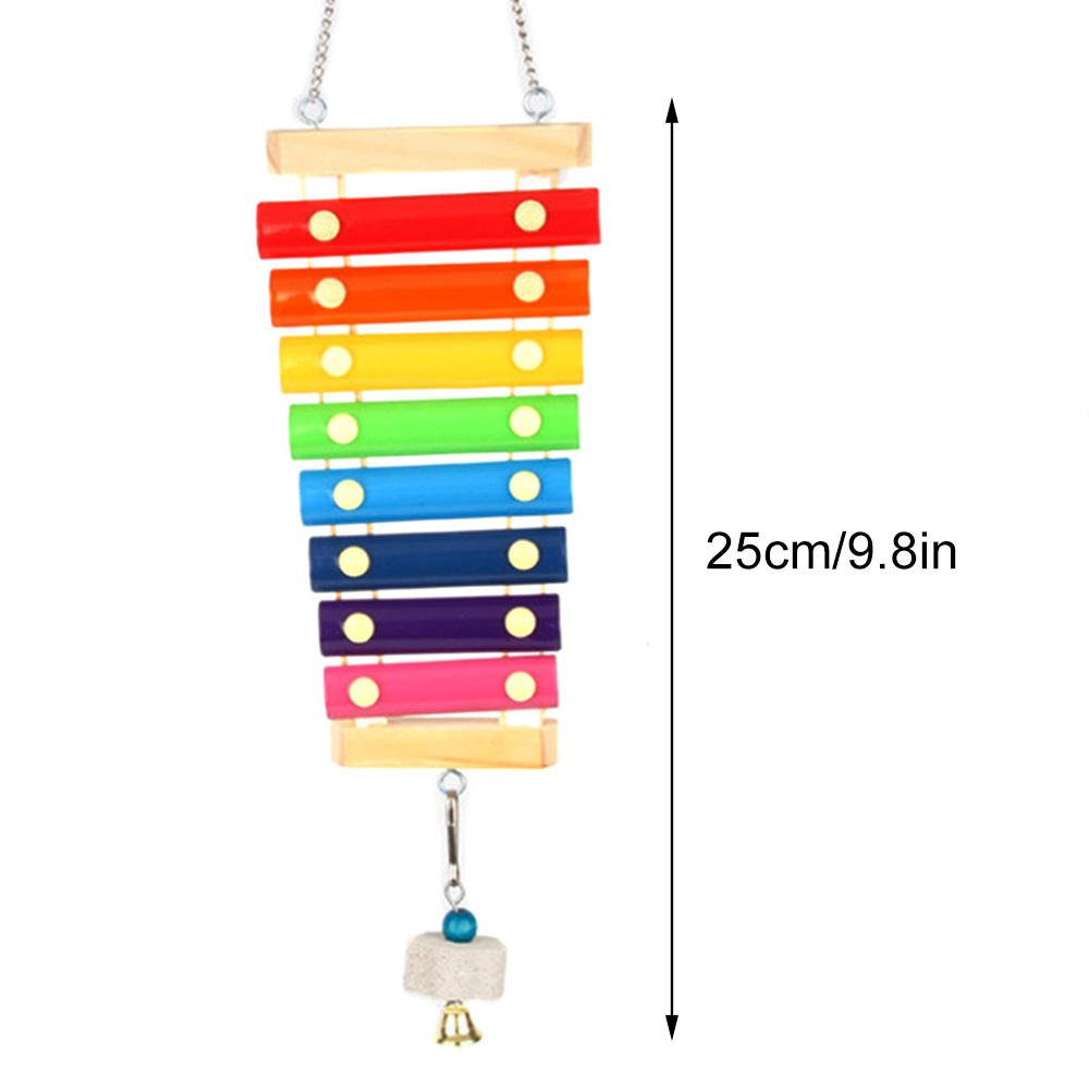 Bird Chicken Xylophone Toy Woo - Musical Instrument Harmonium recensione e prezzo