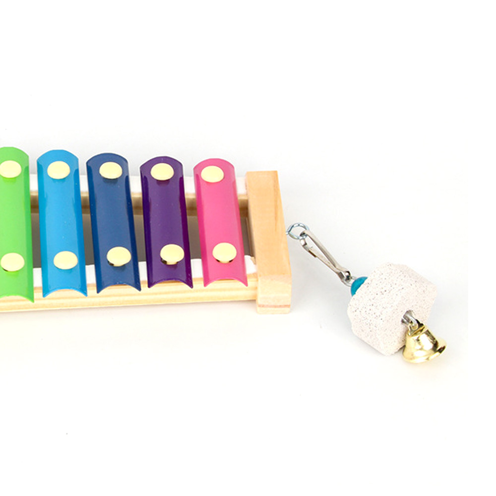 Bird Chicken Xylophone Toy Woo - Musical Instrument Harmonium recensione e prezzo