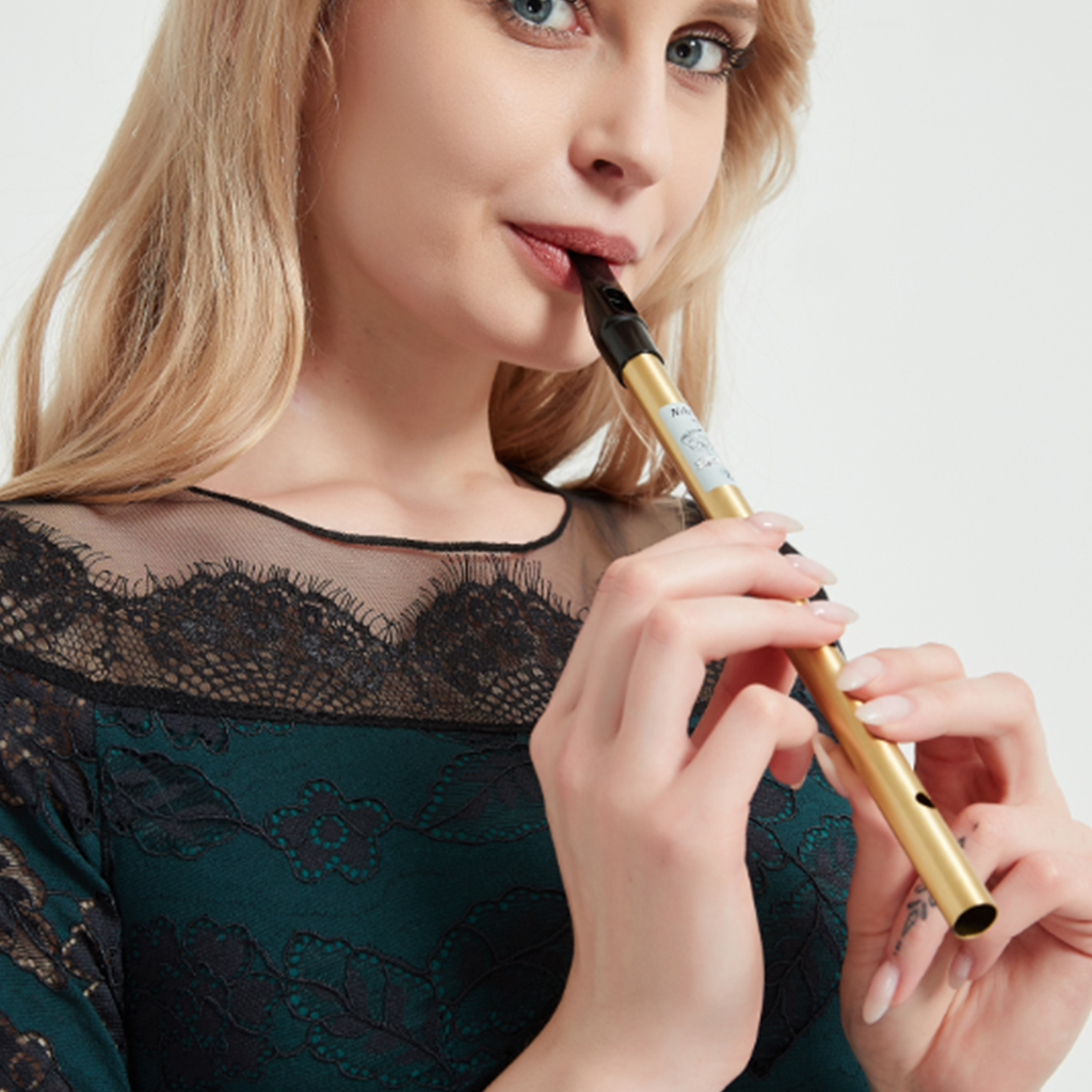 NAOMI Tin Whistle D Key Brass  - Tin Whistle Flute recensione e prezzo