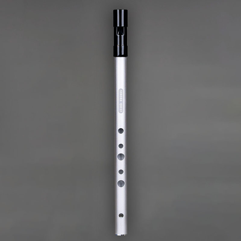 D Key 6 Hole Penny Whistle Met - Tin Whistle Flute recensione e prezzo
