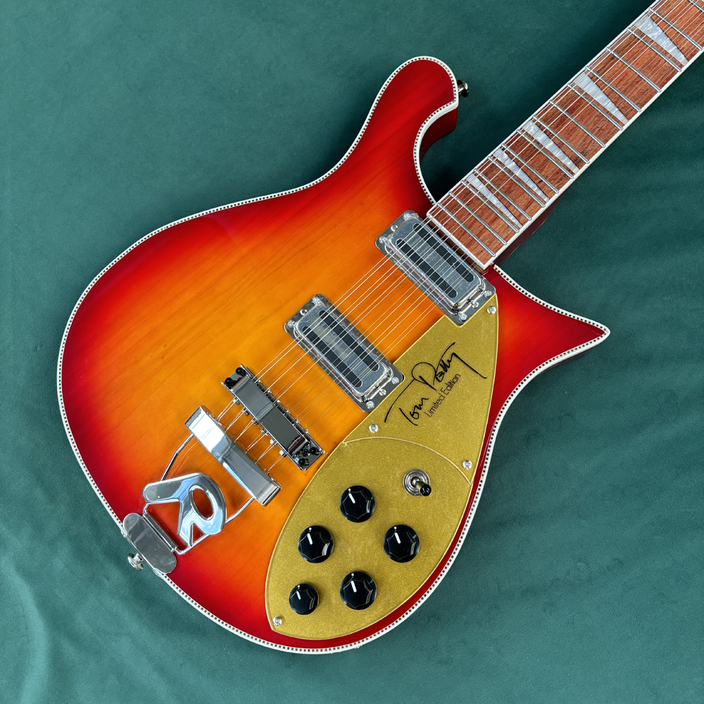 12-string electric guitar, sem - Electric Guitar Beginner recensione e prezzo