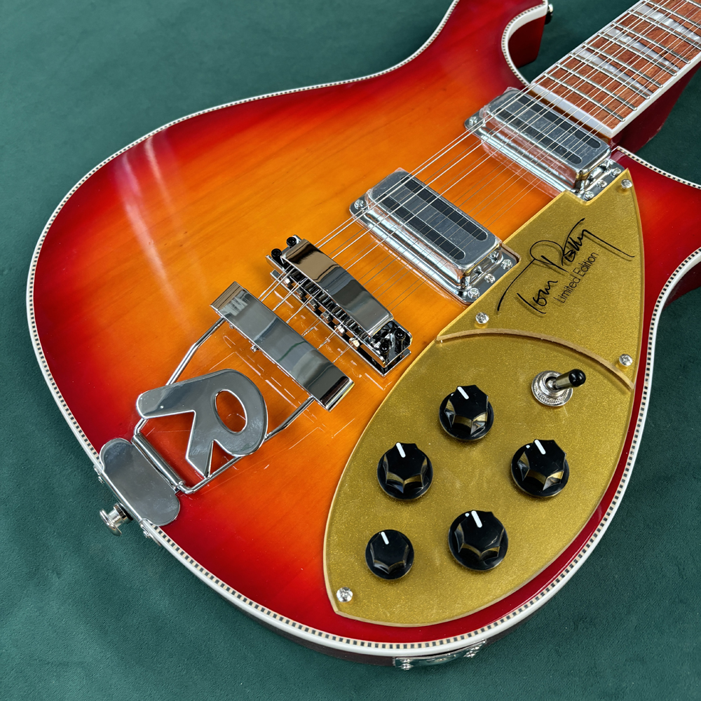12-string electric guitar, sem - Electric Guitar Beginner recensione e prezzo