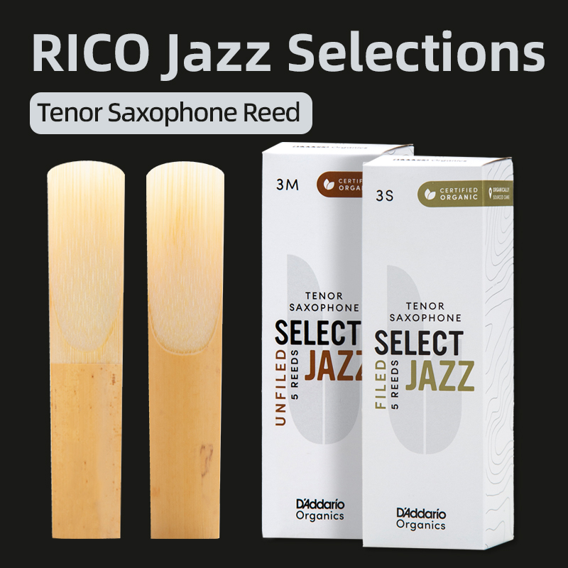 Daddario Rico Jazz Select B-Fl - Musical Instrument Jazz recensione e prezzo