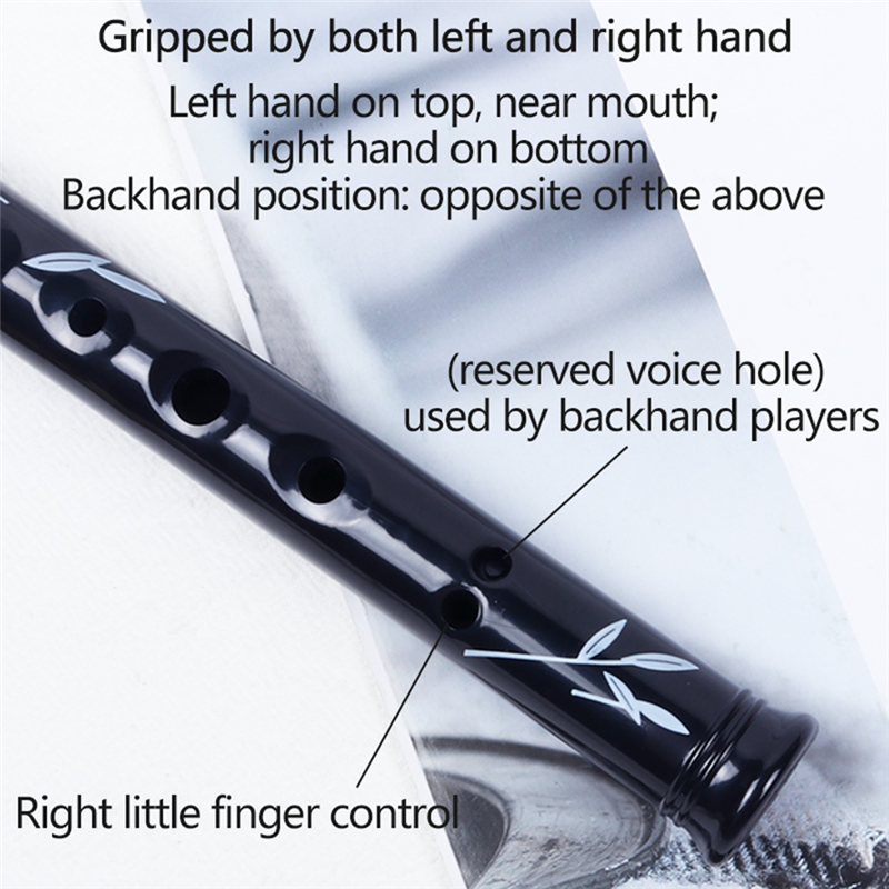 RTENTE-6 Holes Irish Tin Penny - Tin Whistle Flute recensione e prezzo