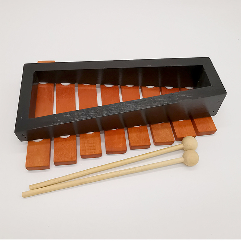 8 Note Xylophone Children Prof - Musical Instrument Harmonium recensione e prezzo
