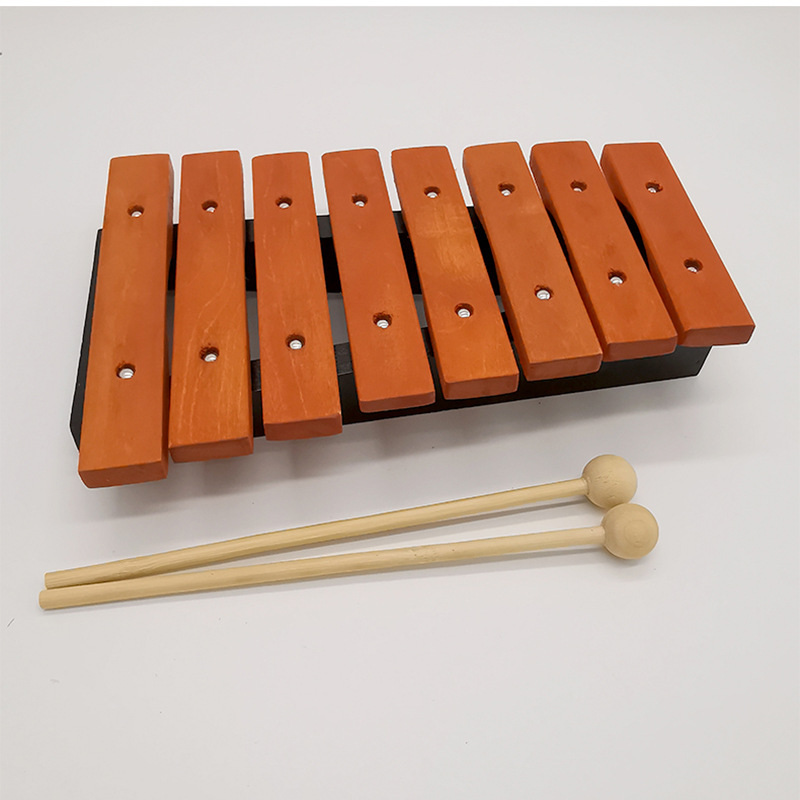 8 Note Xylophone Children Prof - Musical Instrument Harmonium recensione e prezzo