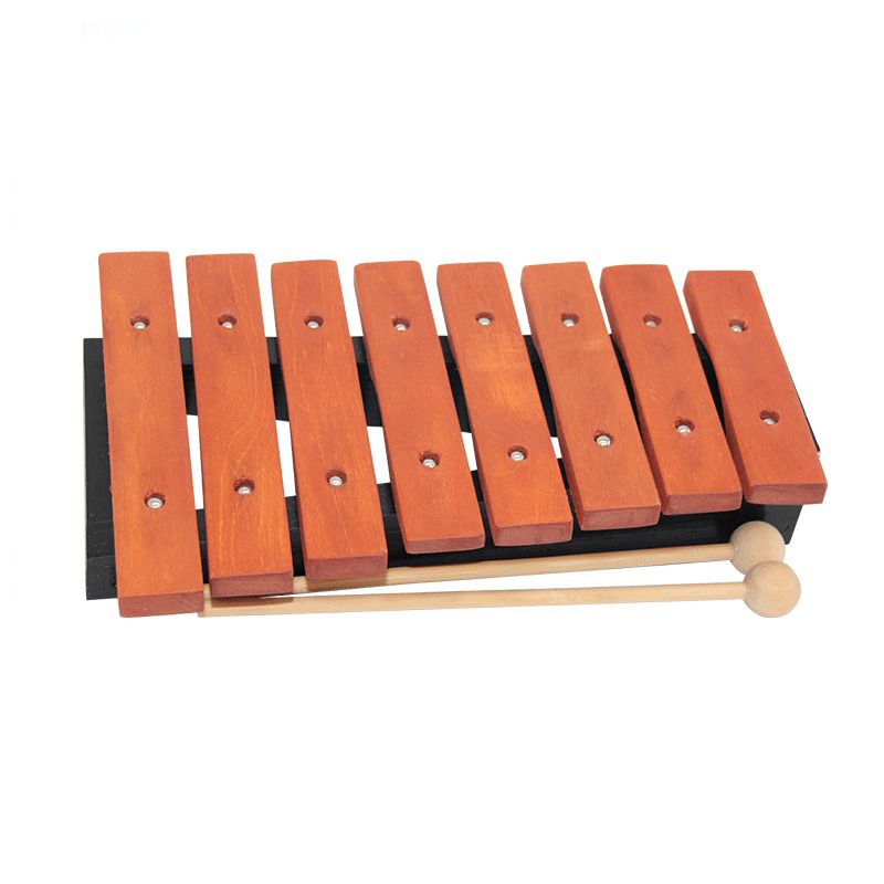 8 Note Xylophone Children Prof - Musical Instrument Harmonium recensione e prezzo