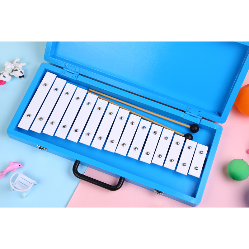 Glockenspiel Xylophone Name Li - Musical Instrument List recensione e prezzo