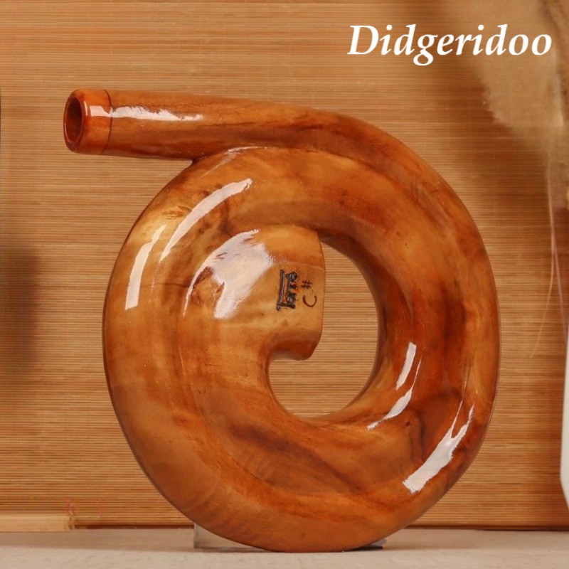 Spiral Didgeridoo Wooden Porta - Musical Instrument Didgeridoo recensione e prezzo