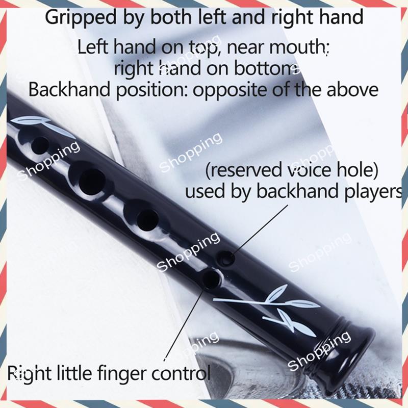 A44M 6 Holes Irish Tin Penny W - Tin Whistle Flute recensione e prezzo