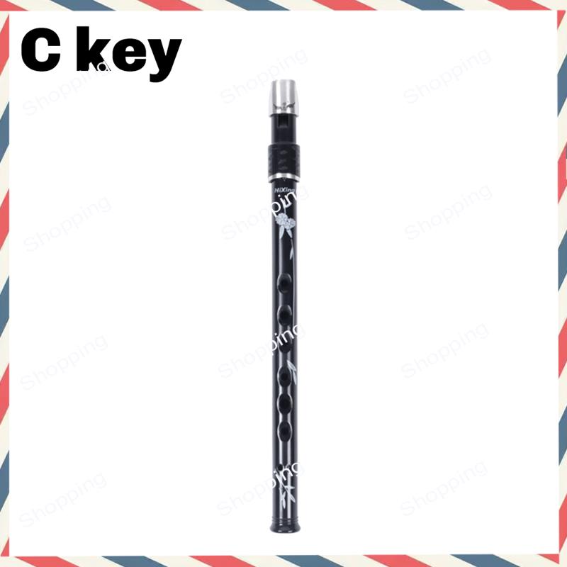 A44M 6 Holes Irish Tin Penny W - Tin Whistle Flute recensione e prezzo