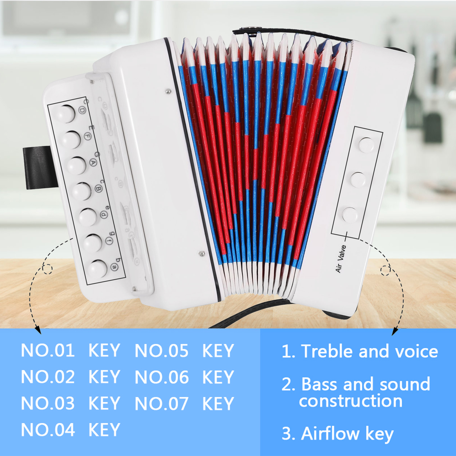 Mini 10 Keys Accordion Toy for - Musical Instrument Harmonium recensione e prezzo