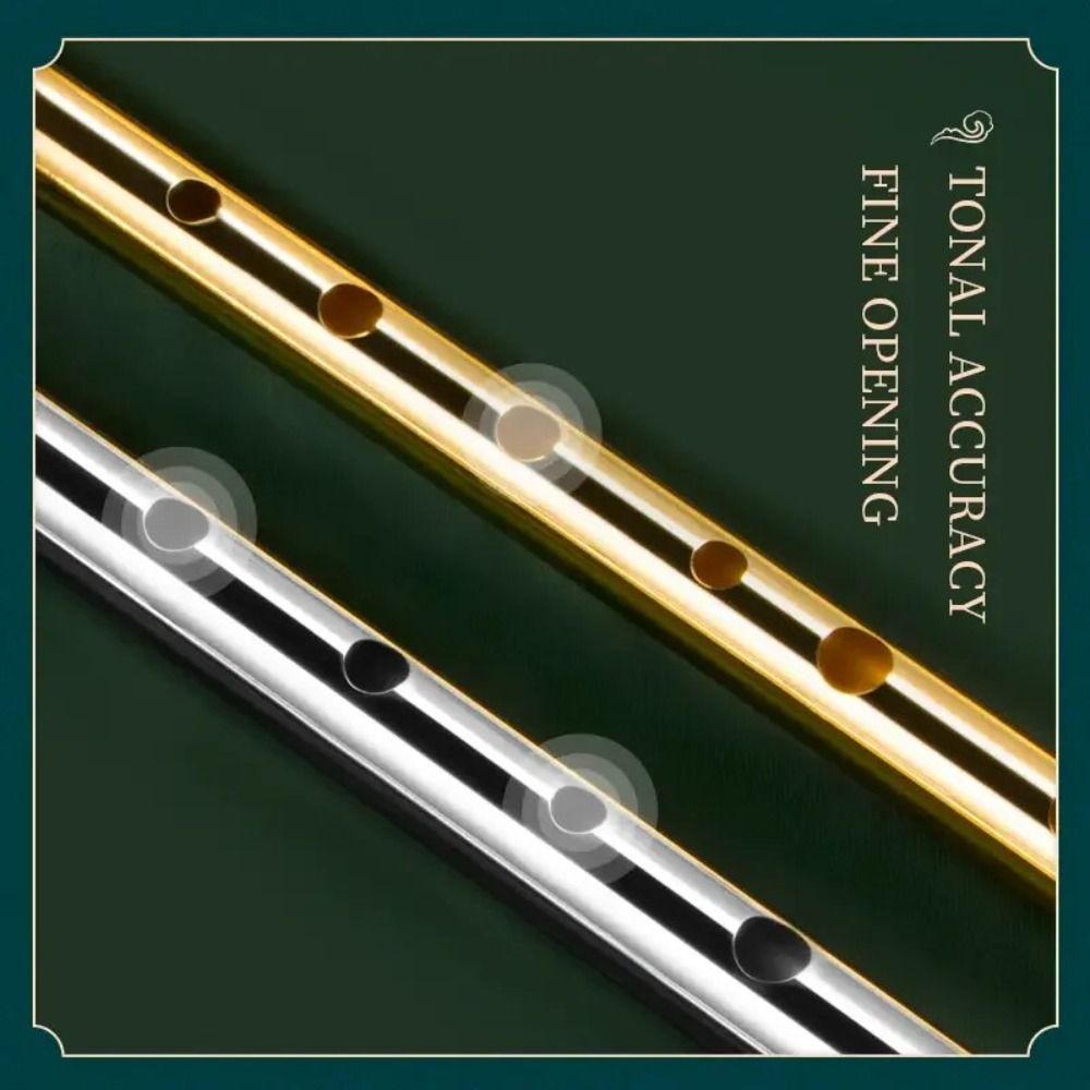 6 Holes C/D Key Irish Whistle  - Tin Whistle Flute recensione e prezzo