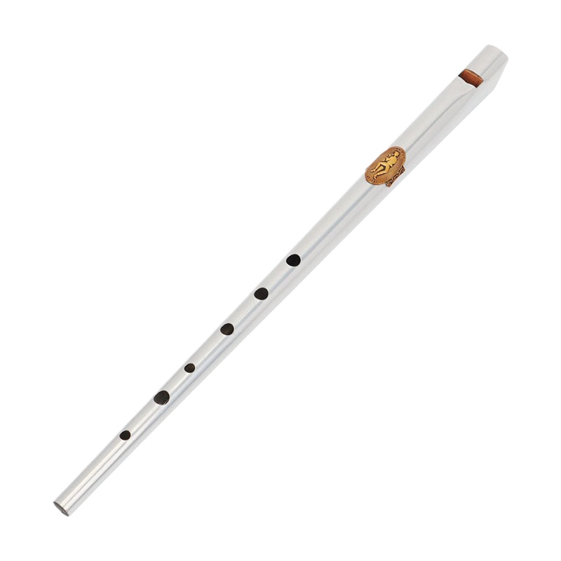 D/C Key Tin Whistle Student Be - Tin Whistle Flute recensione e prezzo