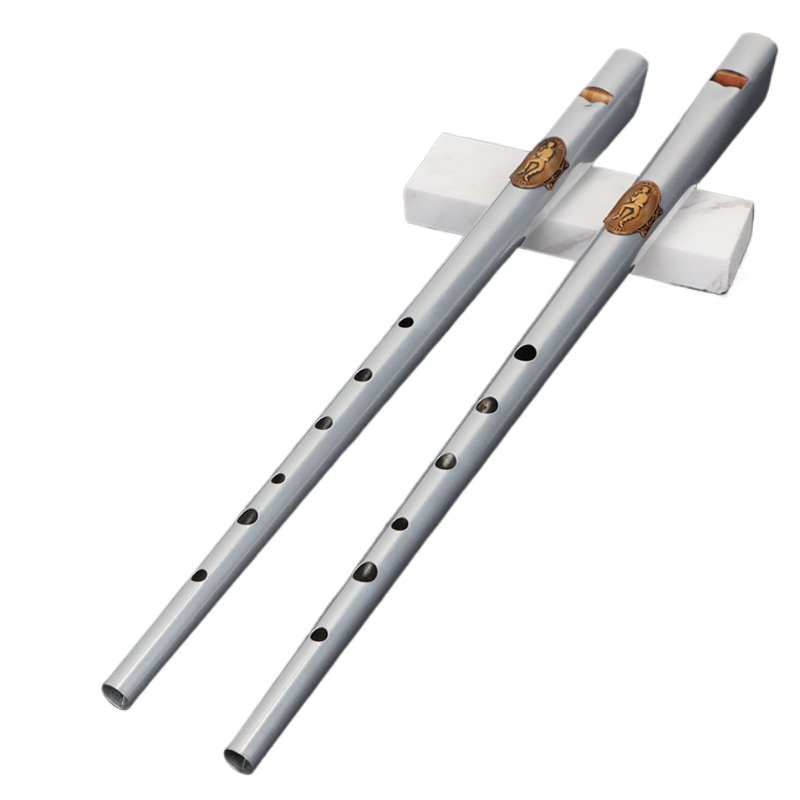 D/C Key Tin Whistle Student Be - Tin Whistle Flute recensione e prezzo
