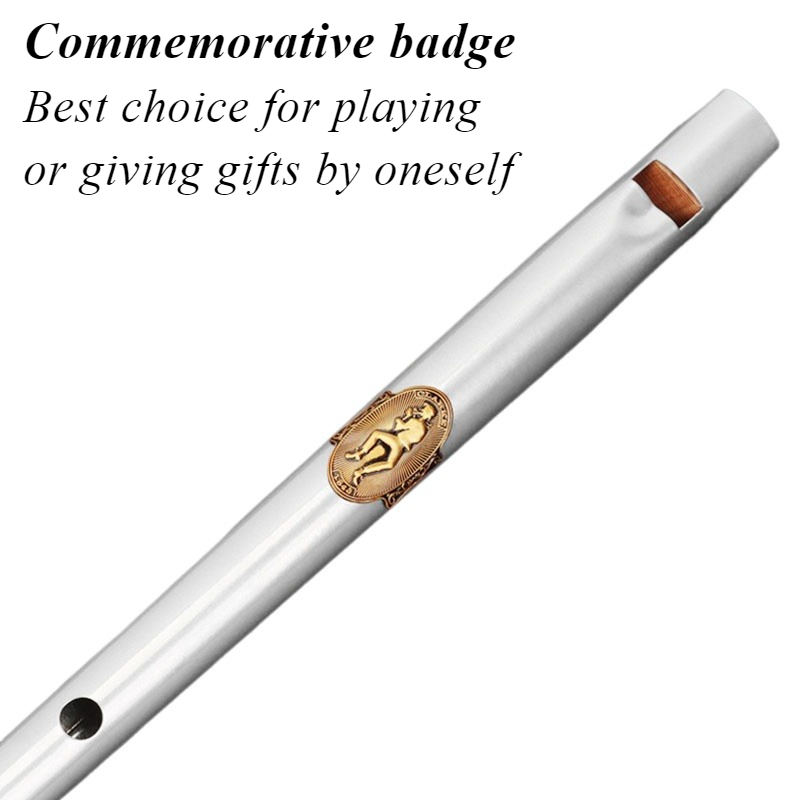 D/C Key Tin Whistle Student Be - Tin Whistle Flute recensione e prezzo