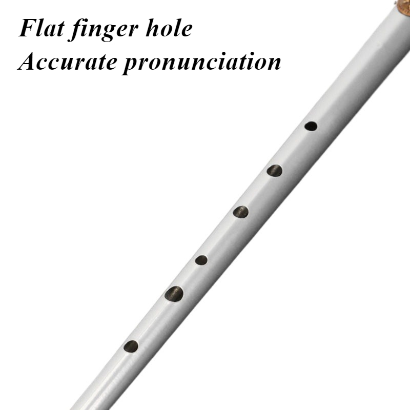 D/C Key Tin Whistle Student Be - Tin Whistle Flute recensione e prezzo