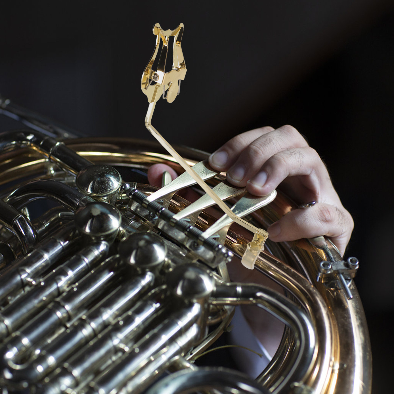 French Horn Marching Lyre Meta - Musical Instrument French recensione e prezzo