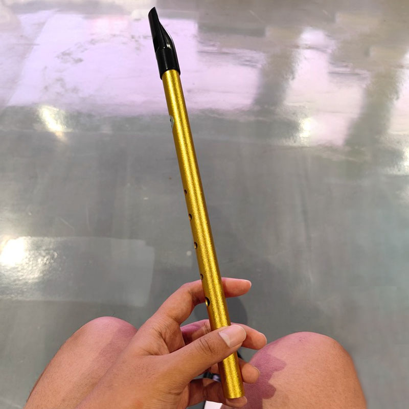 6 Hole Penny Whistle Student P - Tin Whistle Flute recensione e prezzo